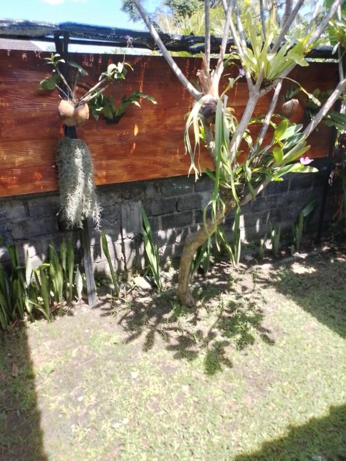 Serongga Guest House Lebih Eksteriør bilde